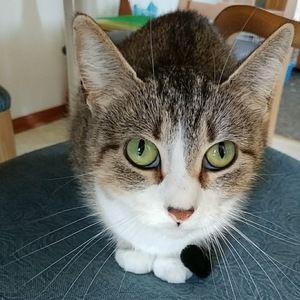 Meet your Posher, Taylor